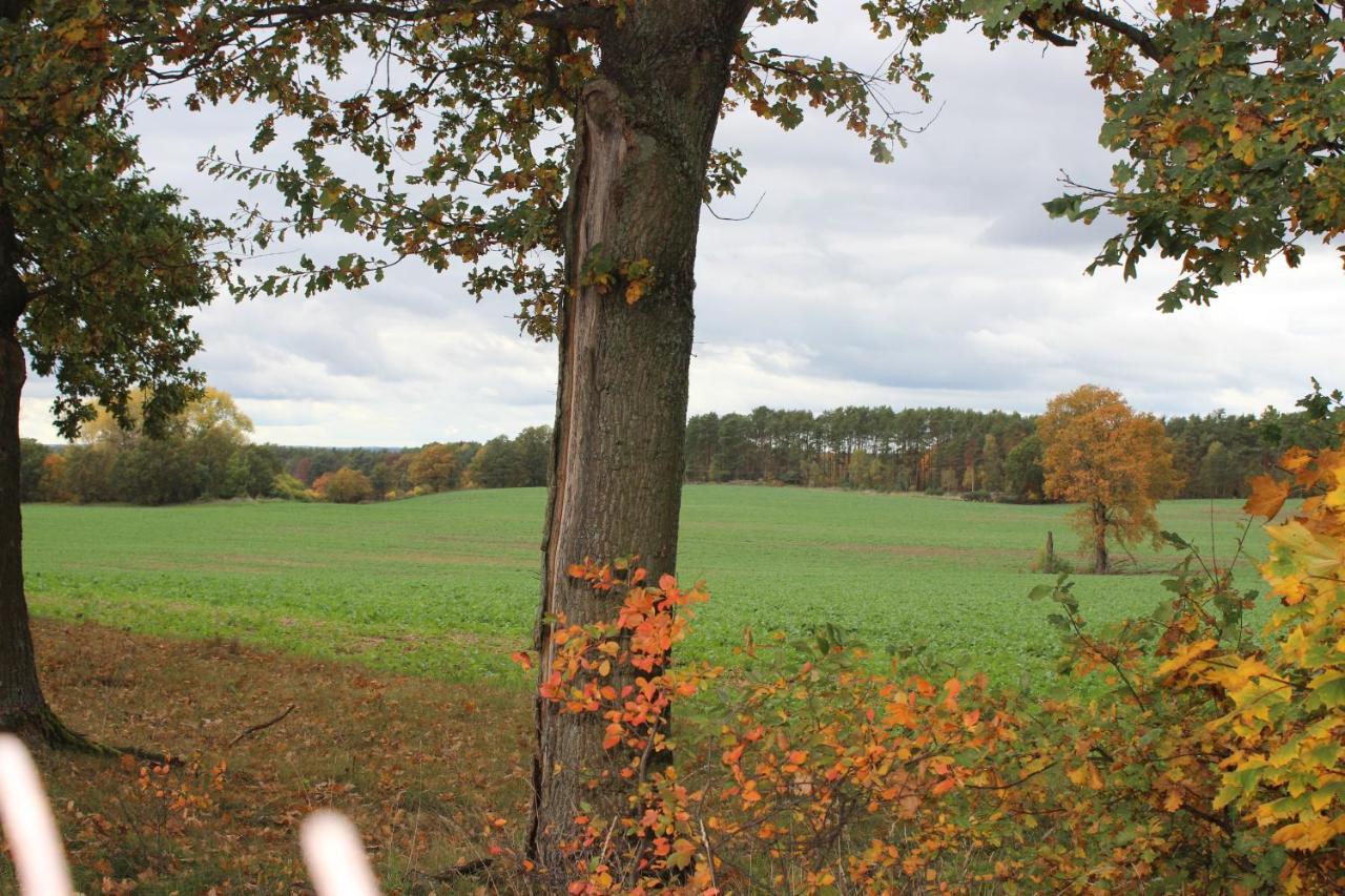 Gospodarstwo Agroturystyczne Agroletnica Świdnica Exterior foto
