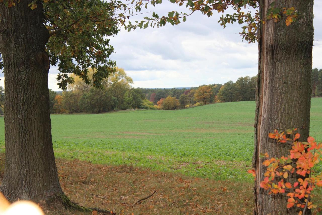 Gospodarstwo Agroturystyczne Agroletnica Świdnica Exterior foto