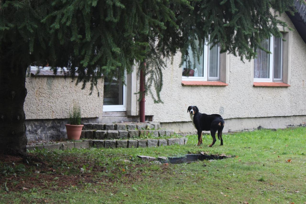 Gospodarstwo Agroturystyczne Agroletnica Świdnica Exterior foto