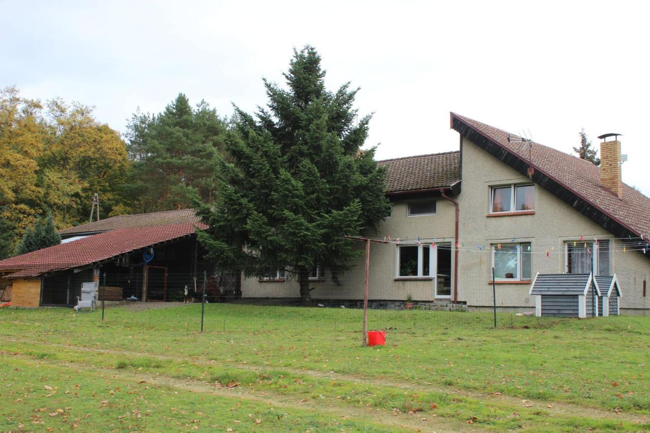 Gospodarstwo Agroturystyczne Agroletnica Świdnica Exterior foto